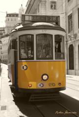 Tarjeta de Navidad 2010