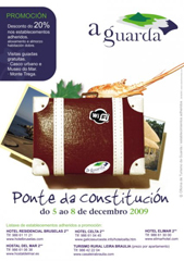 Publicidad puente de la Constitución